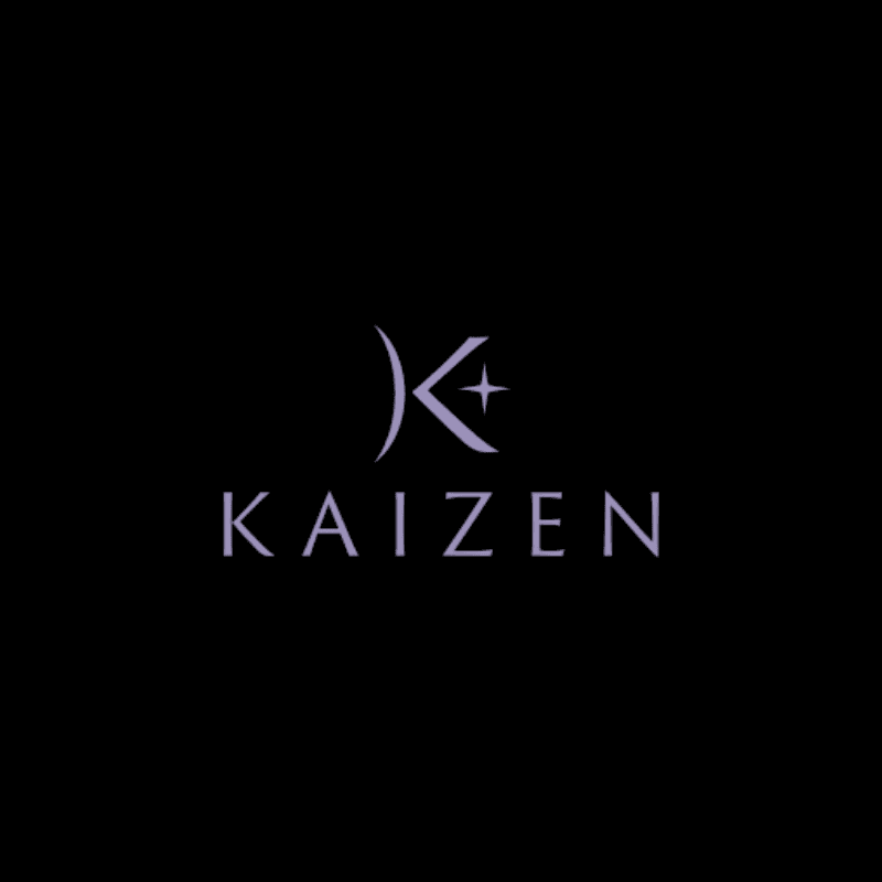 Kaizen — Medical application logo